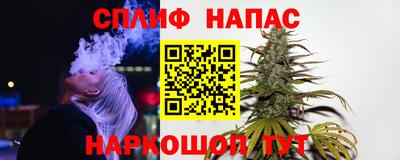 сатива Моздок