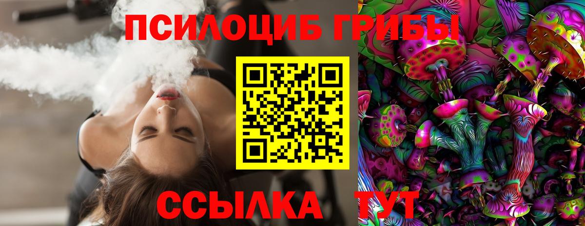 Галлюциногенные грибы мухоморы  Вход с VPN  Татарск  Галлюциногенные грибы Psilocybine cubensis 